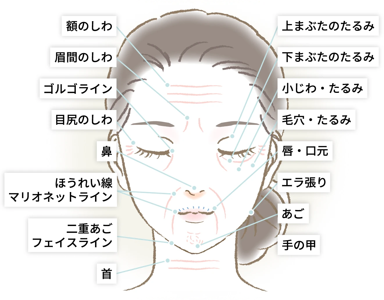 気になる部位から探す